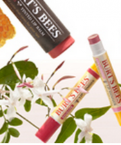 Burt’s Bees Lip Balm Burt’s Bees Lip Balm