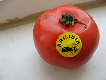 arılı domates