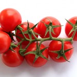 organik domates arili domates1
