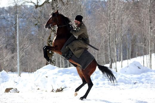 kurtseyitvesuradizisi