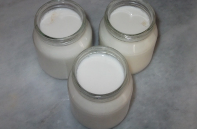 devamsutundanyogurt