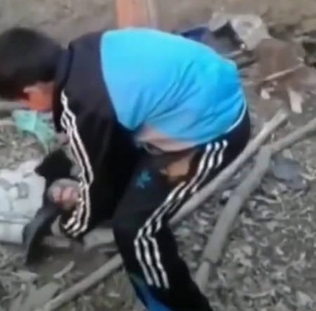 yavru kopek katliamini suriyeliler mi yapti