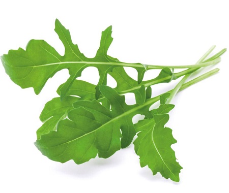 arugula nedir