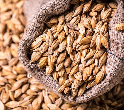 glutensiz beslenme nedir