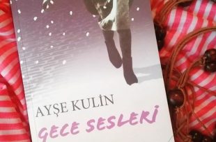 ayse kulin gece sesleri pedofili