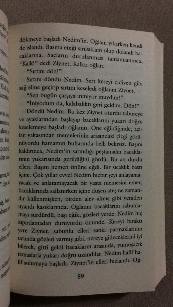 ayse kulin gece sesleri pedofili sayfalari