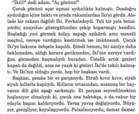 elif safak mahrem kitabi icerigi pedofili sayfalari 2