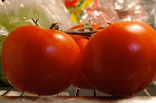 domates neden bozdulabina konulmaz