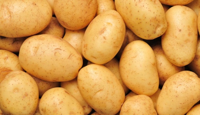 agria patates nedir nasil anlasilir