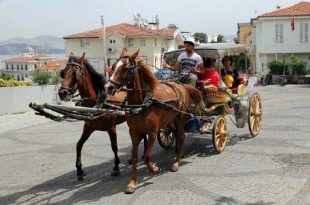 ruam hastaligi nedir