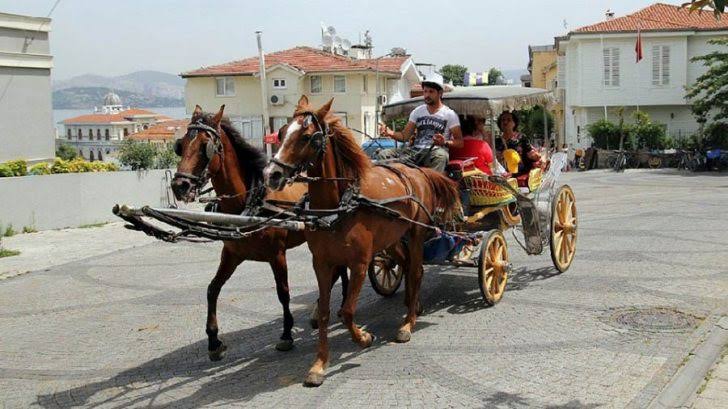 ruam hastaligi nedir