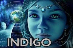 indigo cocuk