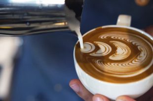 barista sutu nedir farki nedir