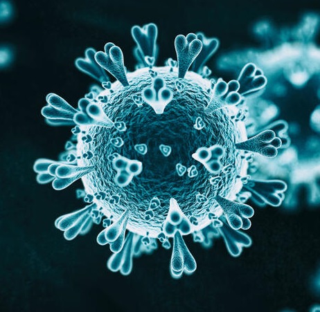 koronavirus mutasyon