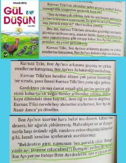 gul ve dusun tecavuz