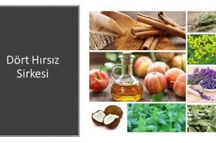 dort hirsiz sirkesi nedir hikayesi nedir