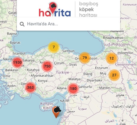 havrita uygulamasi nedir ne ise yariyor