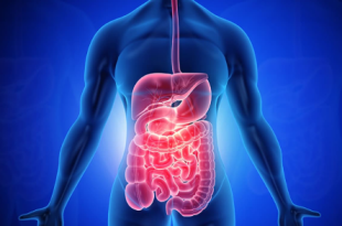 Ekran goruntusu 2025 08 27 122818