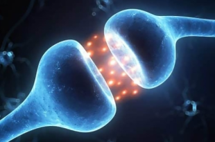 Ekran goruntusu 2025 09 18 105723