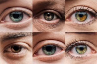 Ekran goruntusu 2025 10 31 103711