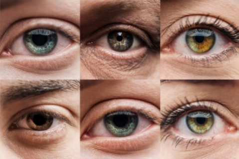 Ekran goruntusu 2025 10 31 103711