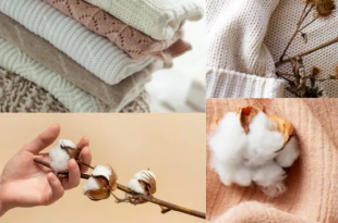 Ekran goruntusu 2026 01 21 150952